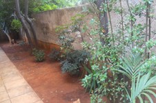 Property 1186 photo 12