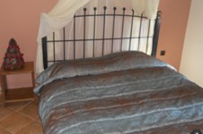 Property 1189 photo 3
