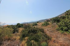 Property 11899 photo 6