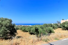 Property 11900 photo 1