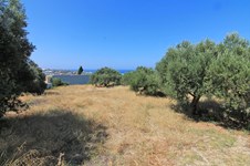 Property 11900 photo 4