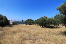 Property 11900 photo 5