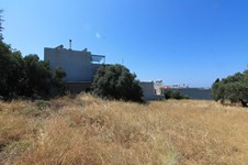 Property 11900 photo 6