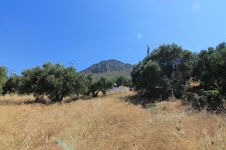 Property 11900 photo 8