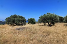 Property 11900 photo 7