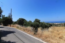 Property 11900 photo 3