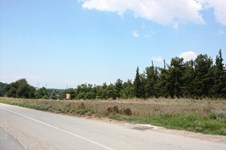 Property 11916 photo 3