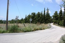Property 11916 photo 4