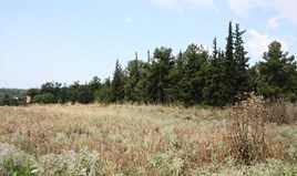 Парцел 11500 m² в Солун