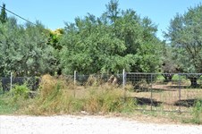 Property 11923 photo 2