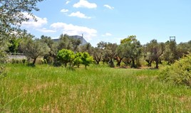 Zemljište 4000 m² na Zapadnom Peloponezu
