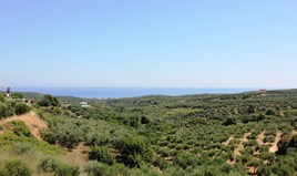 Land 3500 m² in Crete