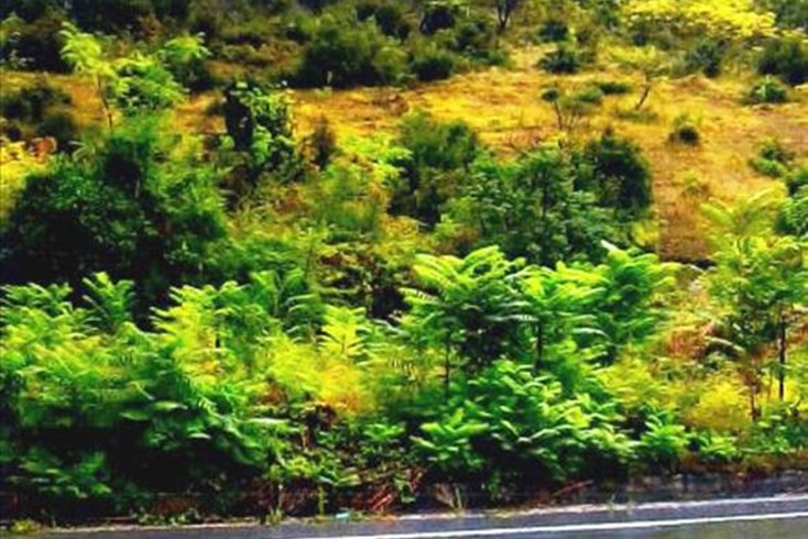 Realty photo 1
