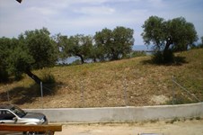 Property 12011 photo 8