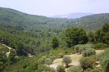 Property 12011 photo 12