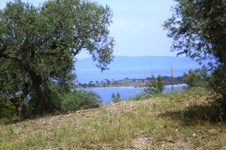 Property 12011 photo 13