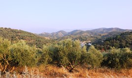 Парцел 12000 m² на Крит