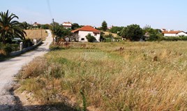 Land 5300 m² in Chalkidiki