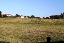 Property 12037 photo 2