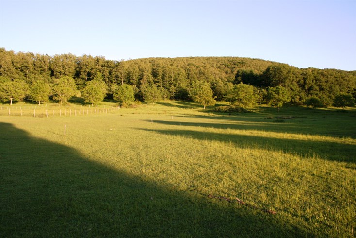Realty photo 2