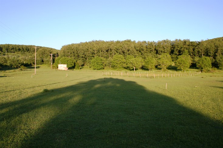 Realty photo 3