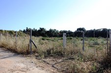 Property 12082 photo 2