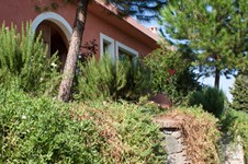 Property 1209 photo 15