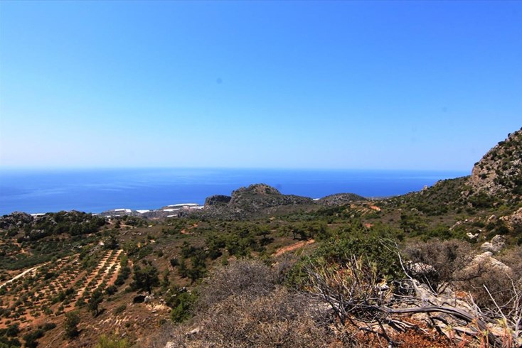 Realty photo 2