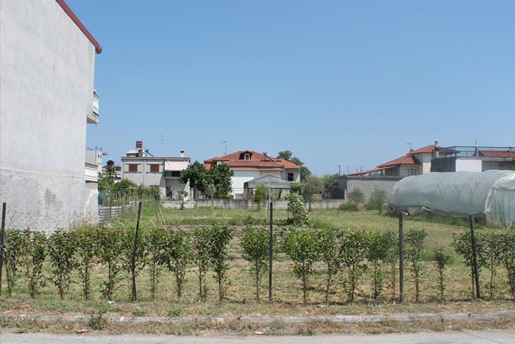 Realty photo 2