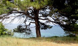 հողատարածք 4000 m² Խալկիդիկի-Սիթոնիայում