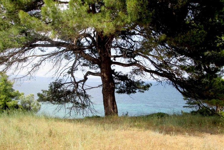 Realty photo 1