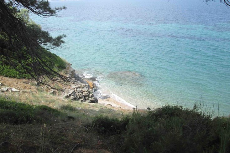 Realty photo 3