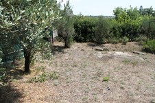 Property 12120 photo 2