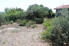 Property 12120 photo 3