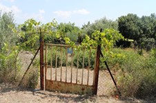 Property 12120 photo 5