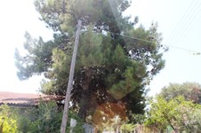 Property 12120 photo 6