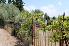 Property 12120 photo 1