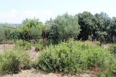 Property 12120 photo 4