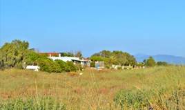 Land 1300 m² in Western Peloponnese