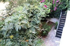 Property 12146 photo 26