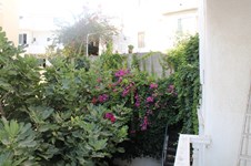 Property 12146 photo 23