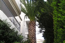 Property 1216 photo 6