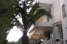 Property 1216 photo 9