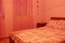 Property 1219 photo 6