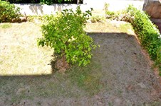 Property 12208 photo 8