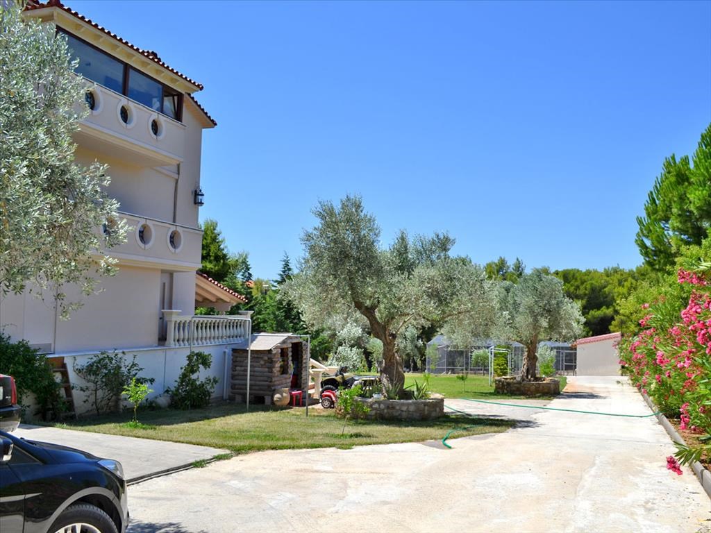 For Sale Detached House 550 M On The Euboea Island Greece Buy Purchase Cottages In Europe 550 Price Property Prices Abroad Overseas Grekodom Development