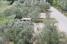 Property 12226 photo 16