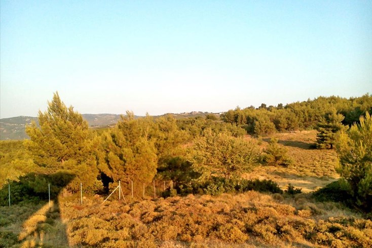Realty photo 2