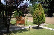 Property 1231 photo 16