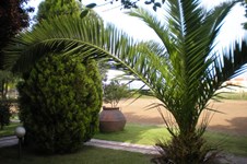 Property 1231 photo 10